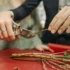 TOP 10 Le migliori idee regalo per bambine speciale natale giocattoli