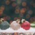 Top 10: I migliori addobbi natalizi per l’albero stile tirolese